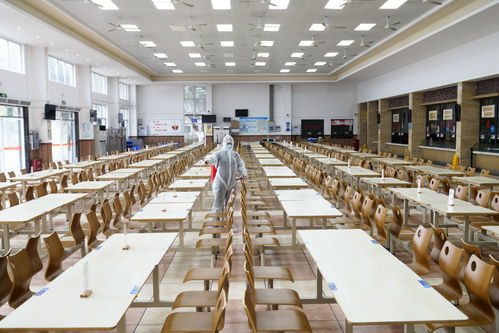 餐餐添香，楠傲承包——佛山三水工廠員工食堂的食材鮮味與品質承諾